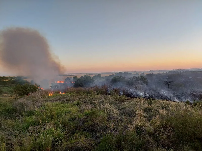 WhatsApp-Image-2022-12-15-at-06.25.55