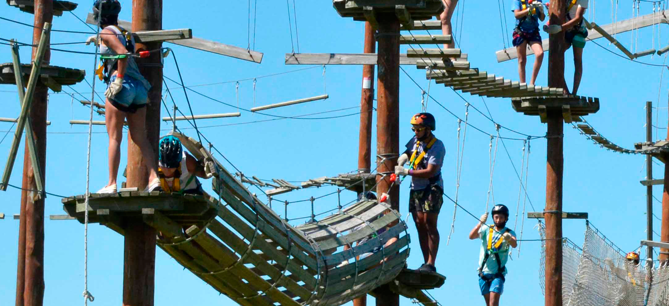 880fd4_27e6b7fa494445d7b4a7de5b71c4984b_mv2