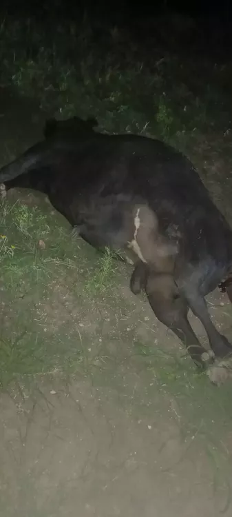 8325cd51-fd88-489c-8843-8e21c7b95305