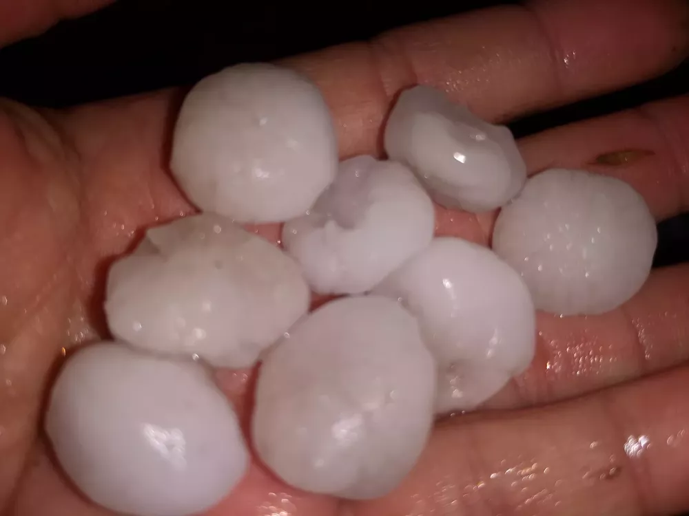 243138861_406839957678054_1932825551726753737_n