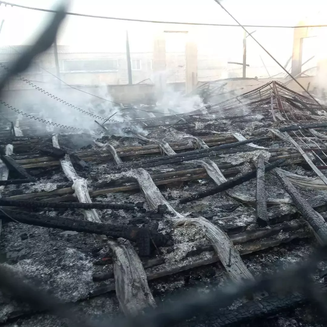 293573307_171155645443431_8145356728599940783_n