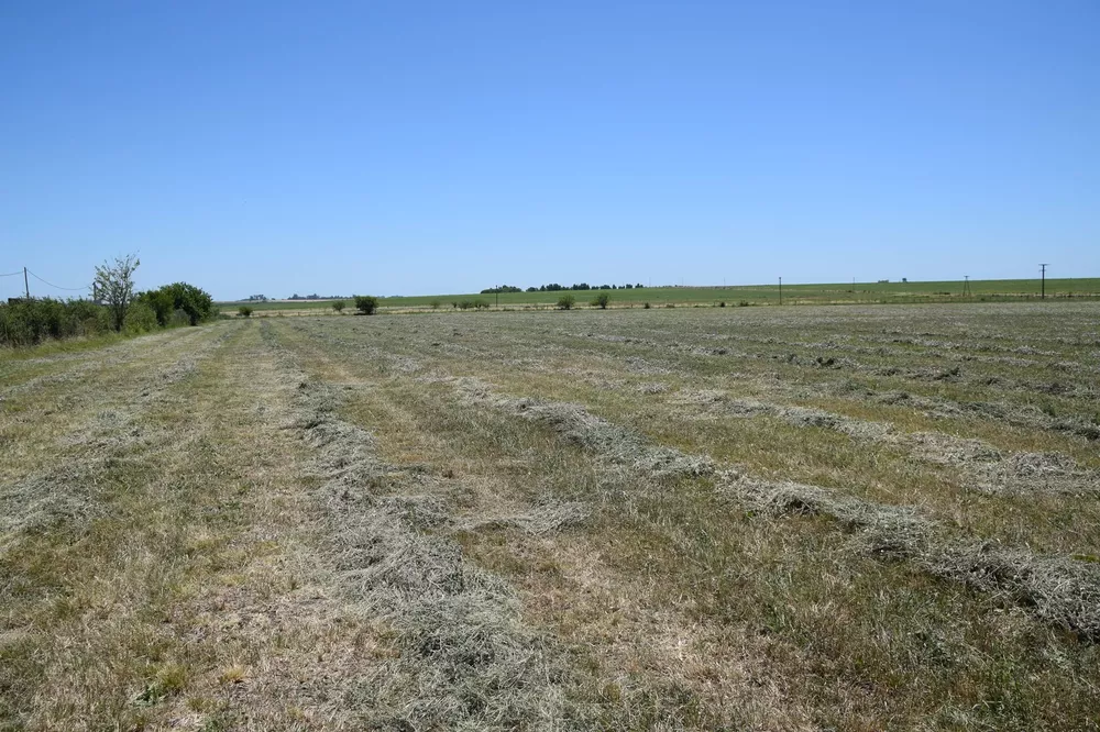 262202517_2988007451450434_6230991827760862237_n