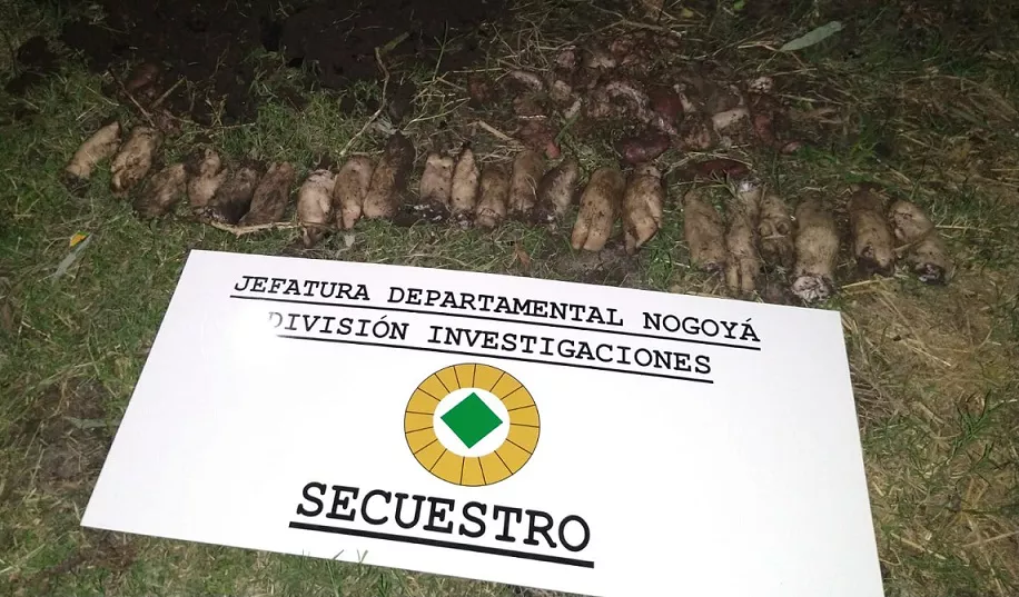 WhatsApp-Image-2023-03-31-at-22.46.011