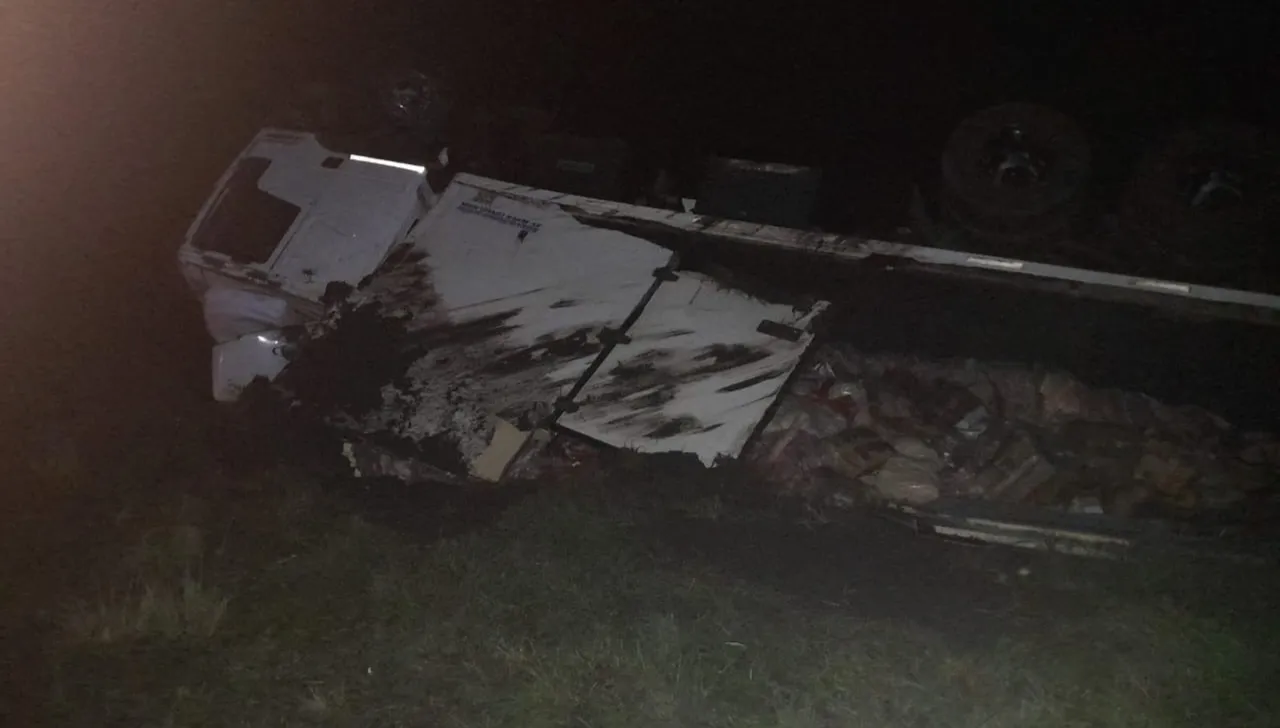 multimedia.normal.b721a135d886794c.MjAyMzA2MDdfMDcxNDM0X25vcm1hbC53ZWJw