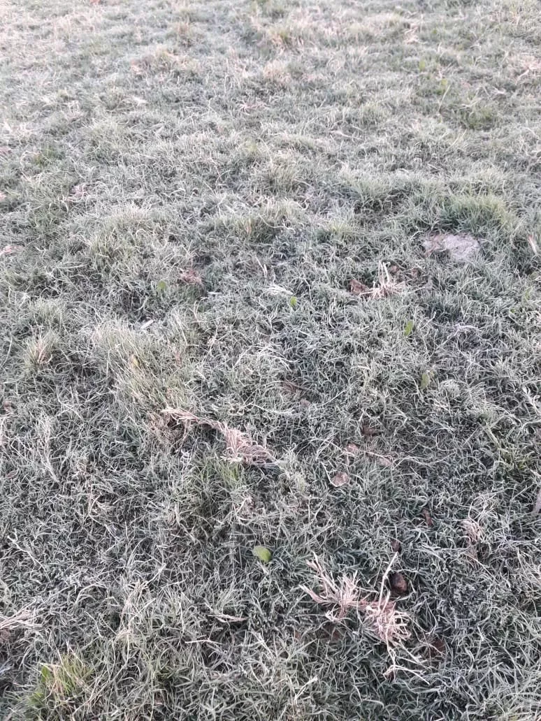 313862384_502196721931770_165713524822223059_n