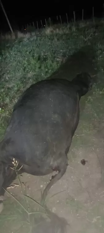 62400386-11c2-47bf-803c-985d01cb3372