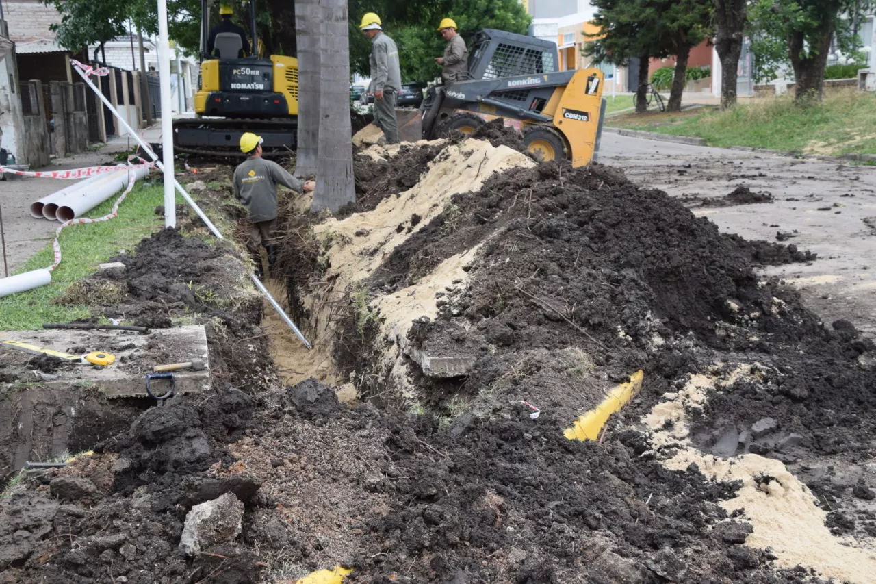 1c3c657d-cb54-436b-911d-6d0878672dc0