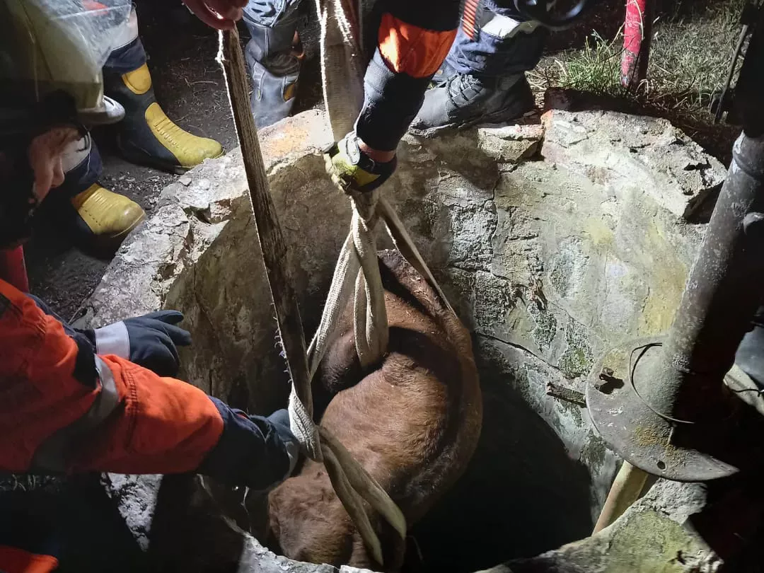 315874572_192495976647357_3472936151704566118_n