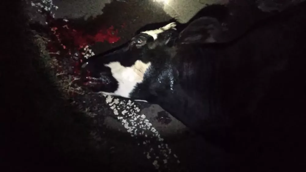 ad0060d8-6c49-4116-8f94-877707c6c687