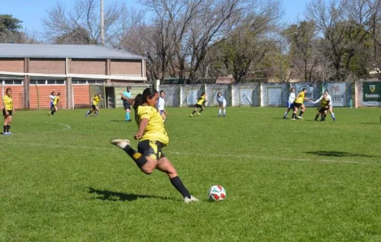 35af3352-f868-4a80-bdab-c83463baadab