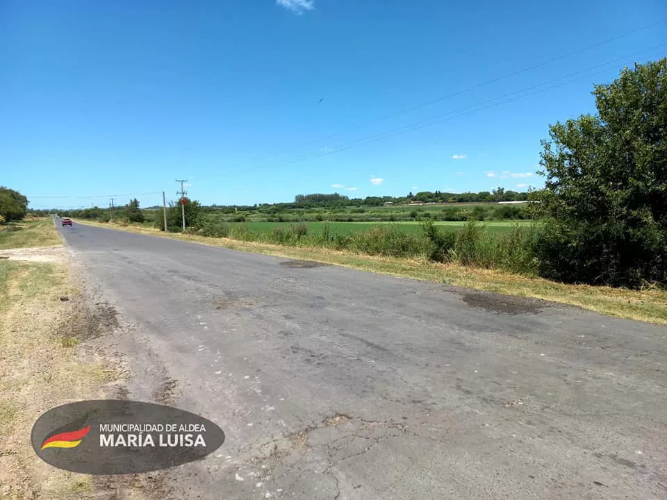 263008232_444242477055006_3561701253328790930_n