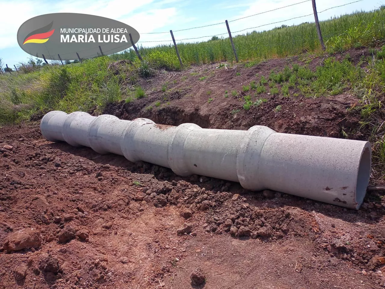 313186251_524913816308378_1211435627545864317_n