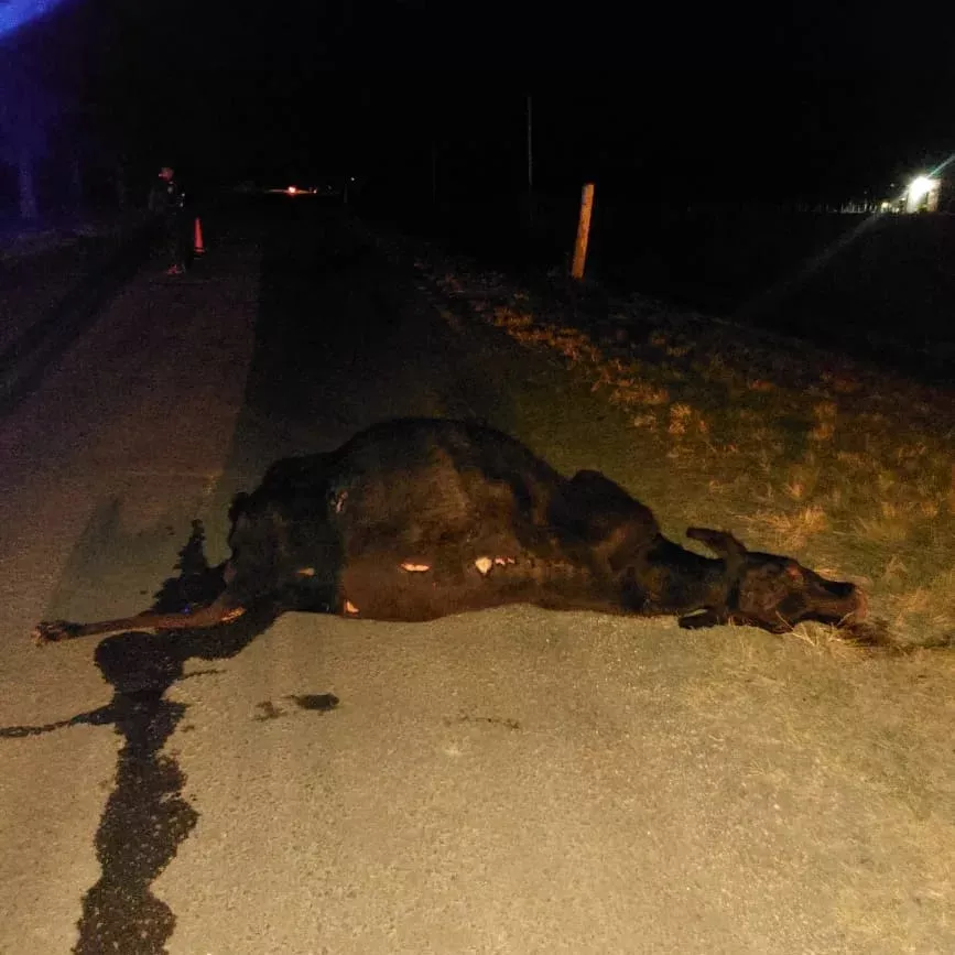 284951722_5481270091897910_5985118405534412062_n