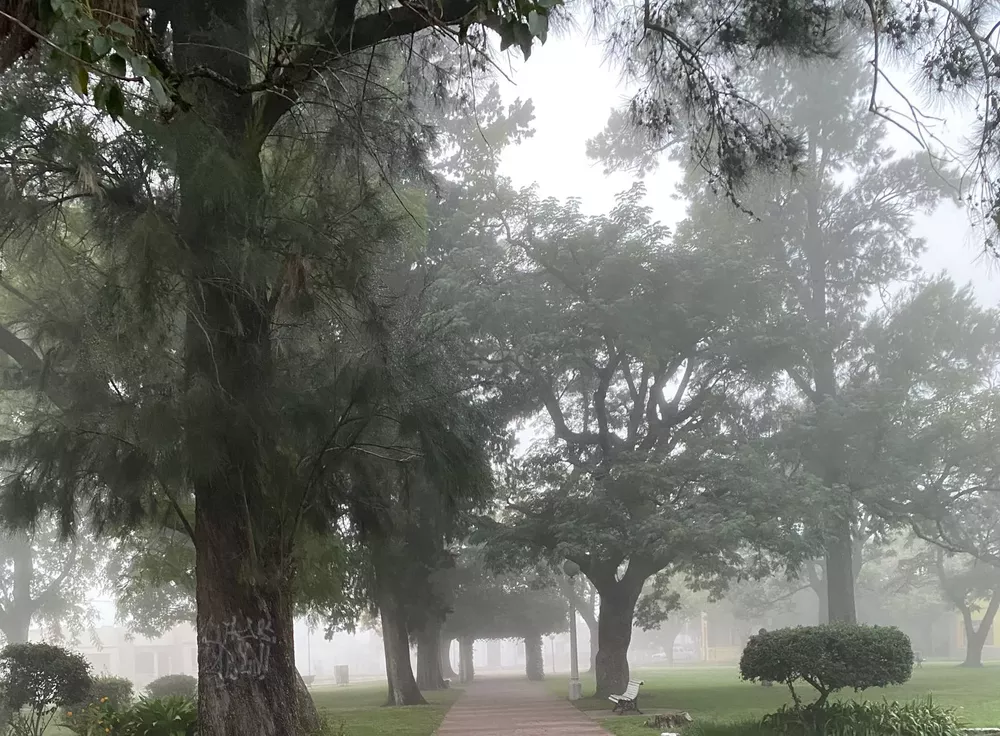 5368c925-ce07-4b3f-b48e-603f0674234a