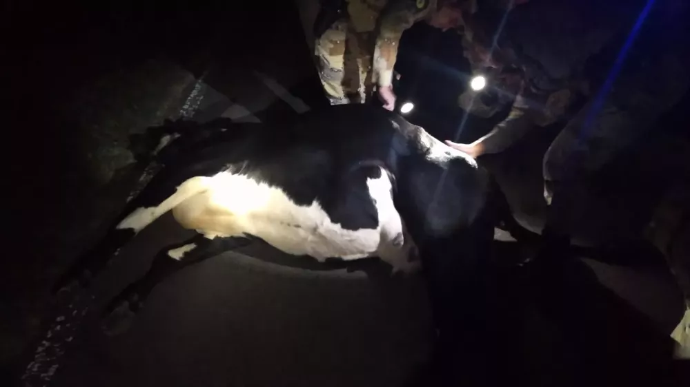 587fab3e-116b-4f85-9057-d1a7b7f001d0