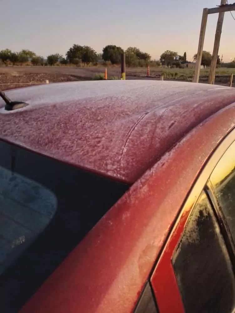 312645154_502196695265106_6039508782459463325_n