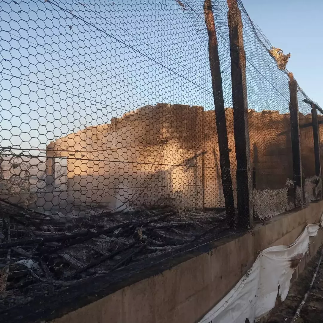 293448689_171155642110098_6077785717036054072_n