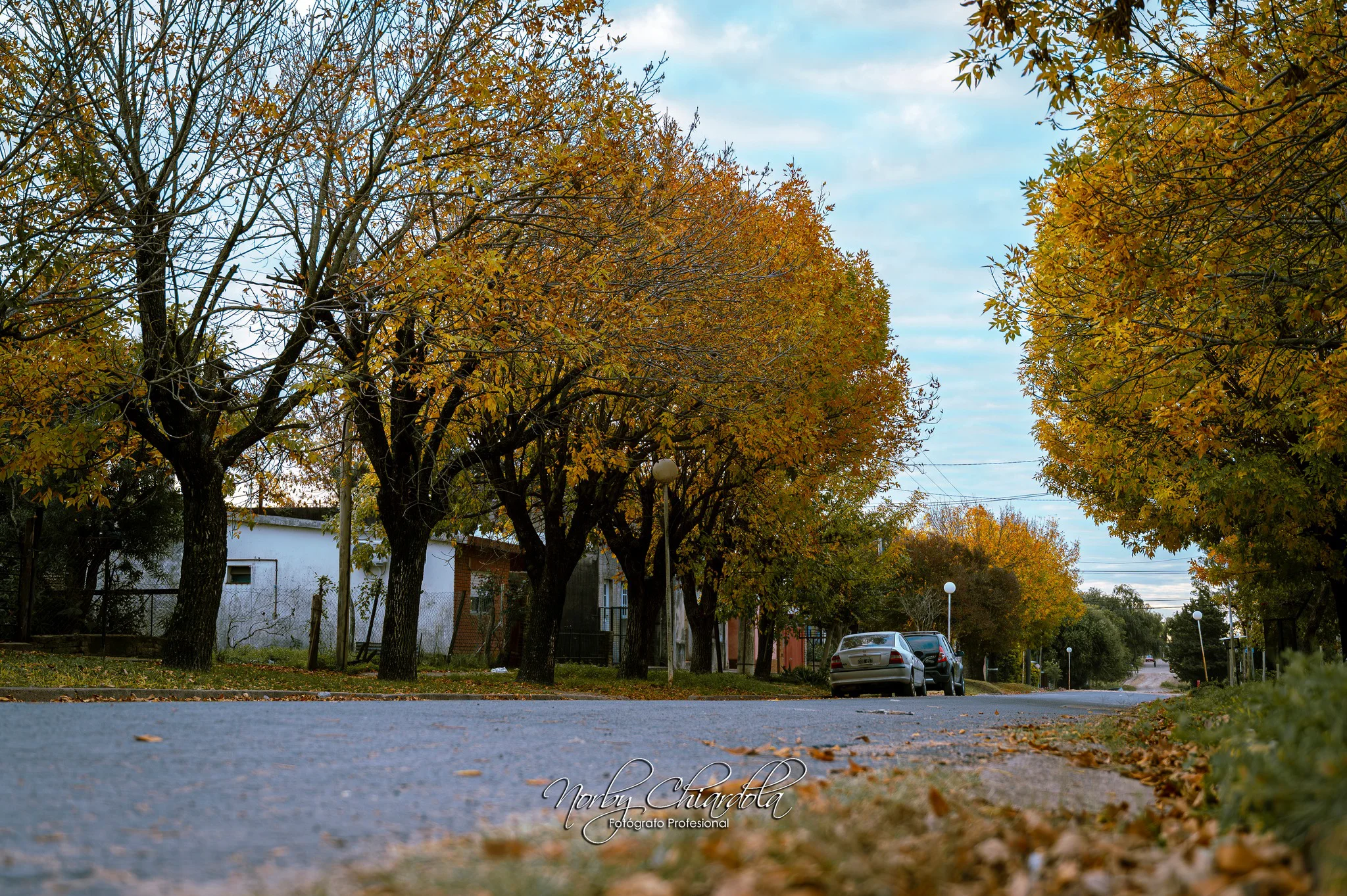 Entre Ríos amaneció este viernes con mínimas de 3.4°C y prevén varios días fríos