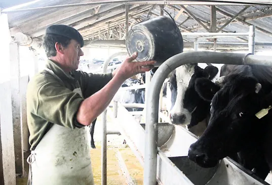 apfdigital_394933_tapa_17122023_193249