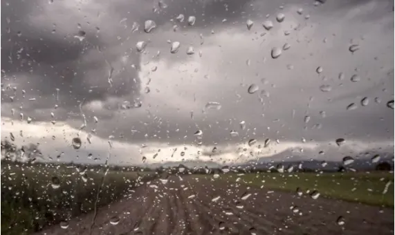 capture-20240719-083127