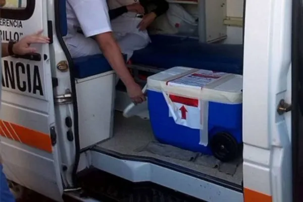 12-pag-6-dnacion-de-organos