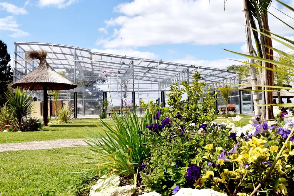 89153568_2589236641325422_7981217716180615168_n