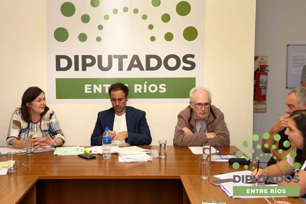 descarga (1)