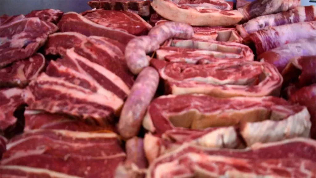 carne-5