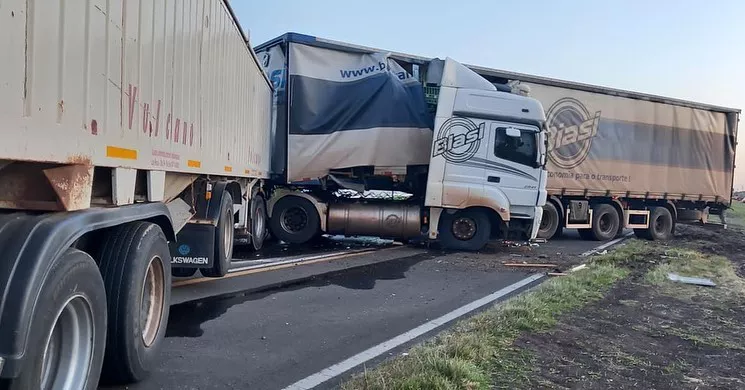 311133545_525811622883328_7027050360496046471_n