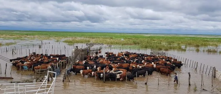 apfdigital_393420_tapa_5112023_183938