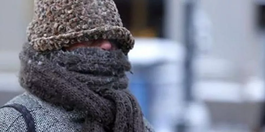 multimedia.normal.9de8abd48856a992.6672696f5f6e6f726d616c2e77656270