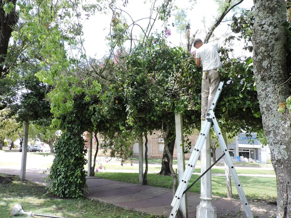 423325822_769017048588963_6034477146618541165_n