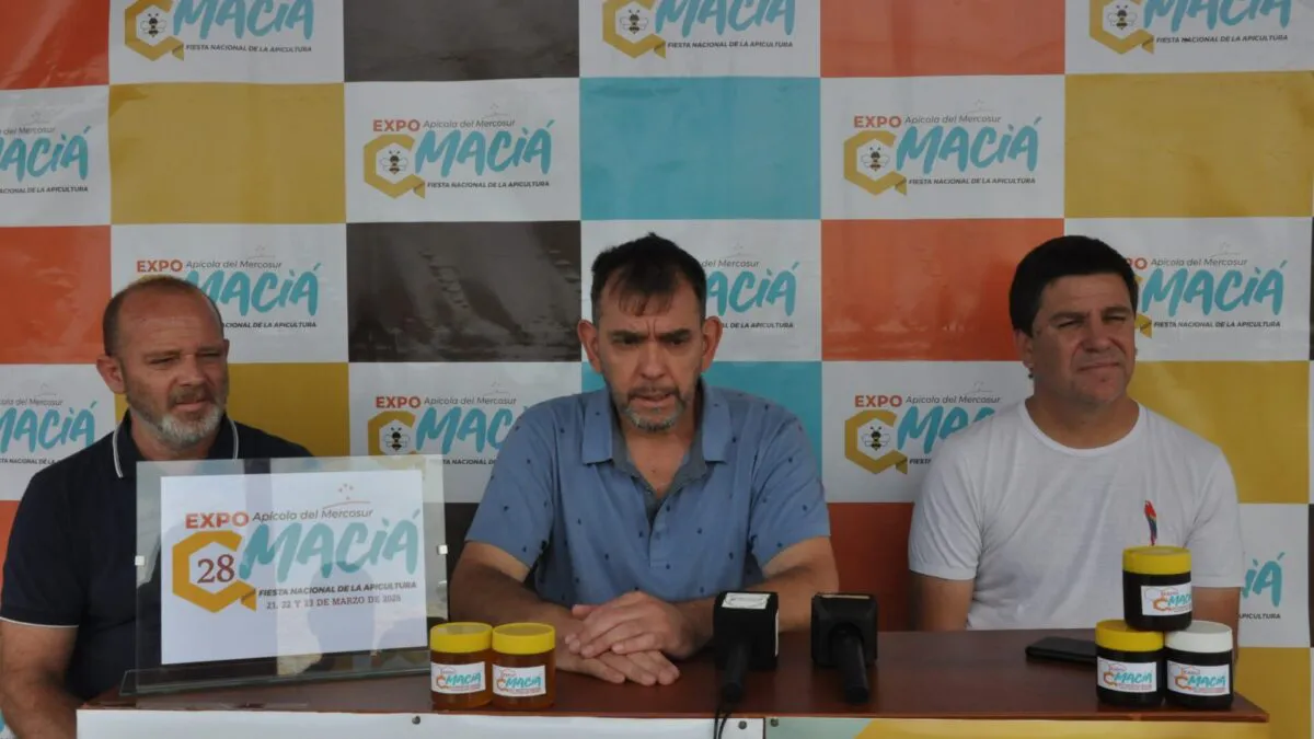 fiesta macia miel