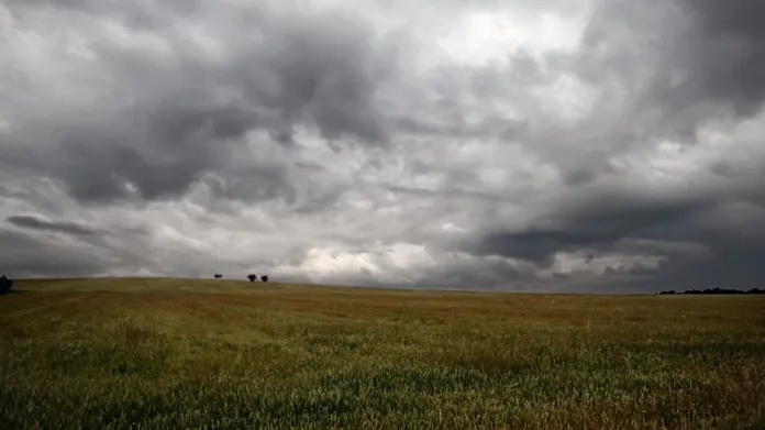 lluvia-campojpg-1