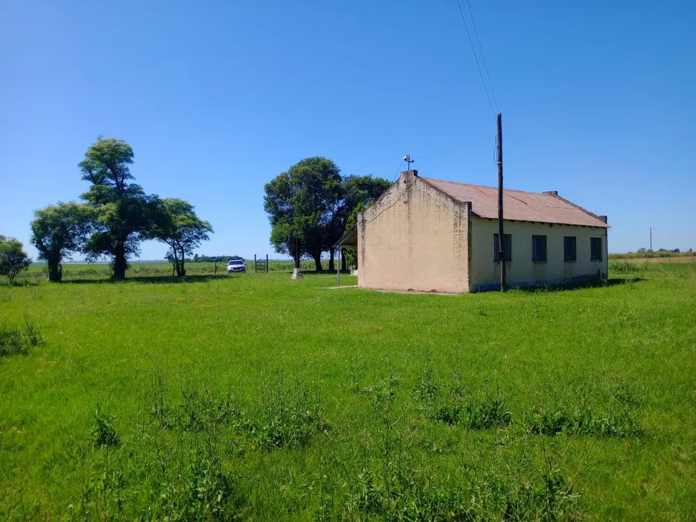 503256276_1105873014903363_8046795409671852398_n