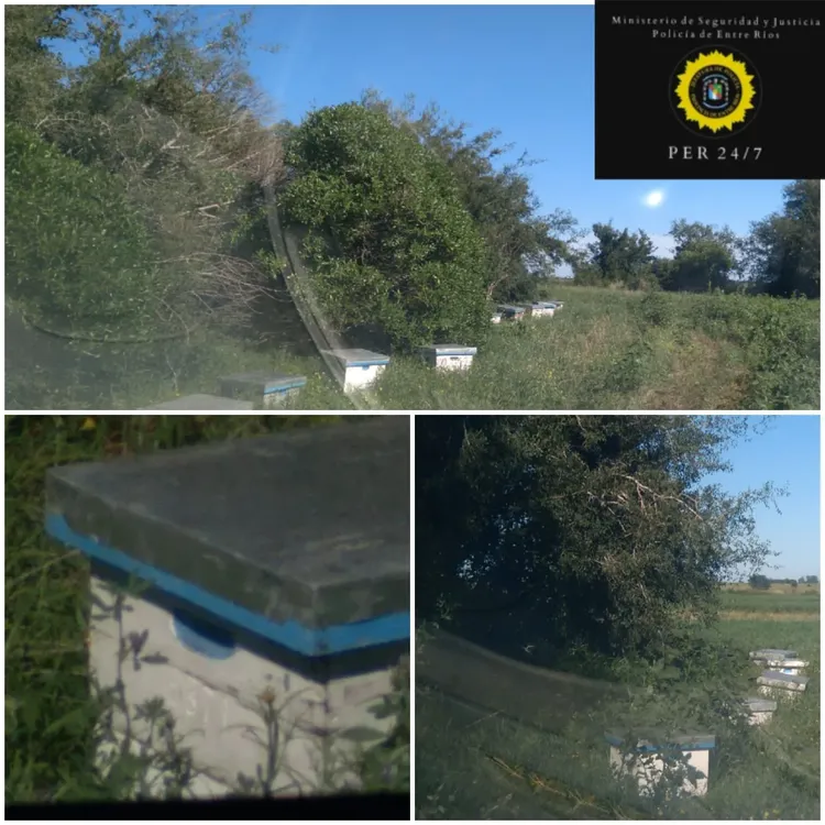 77fce174-18cf-4d82-80f7-e7063e462aa8