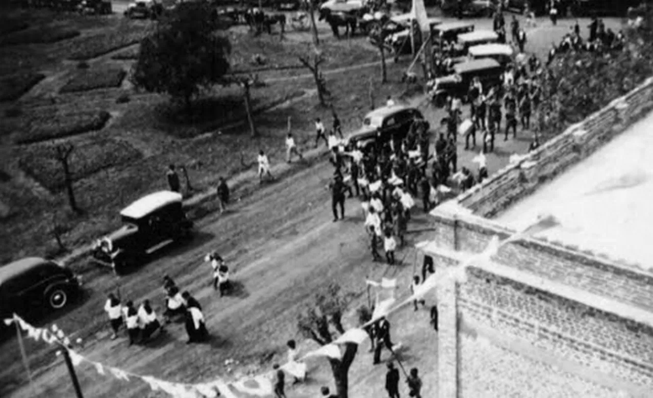 371822231_790447819748478_5987957365325417197_n