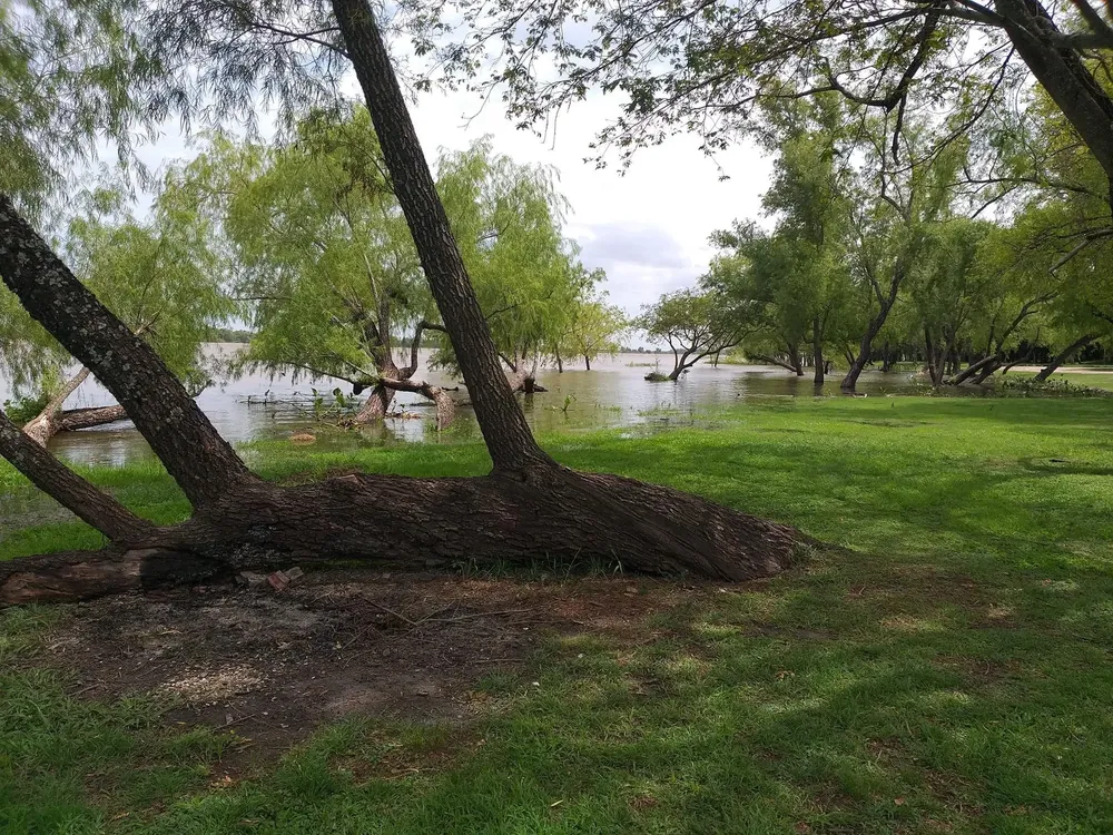 397871274_822804613184026_5919974726596729368_n