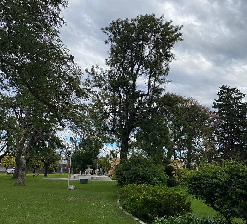 d55c5310-5e78-4be8-8fa1-ce4227455c4c