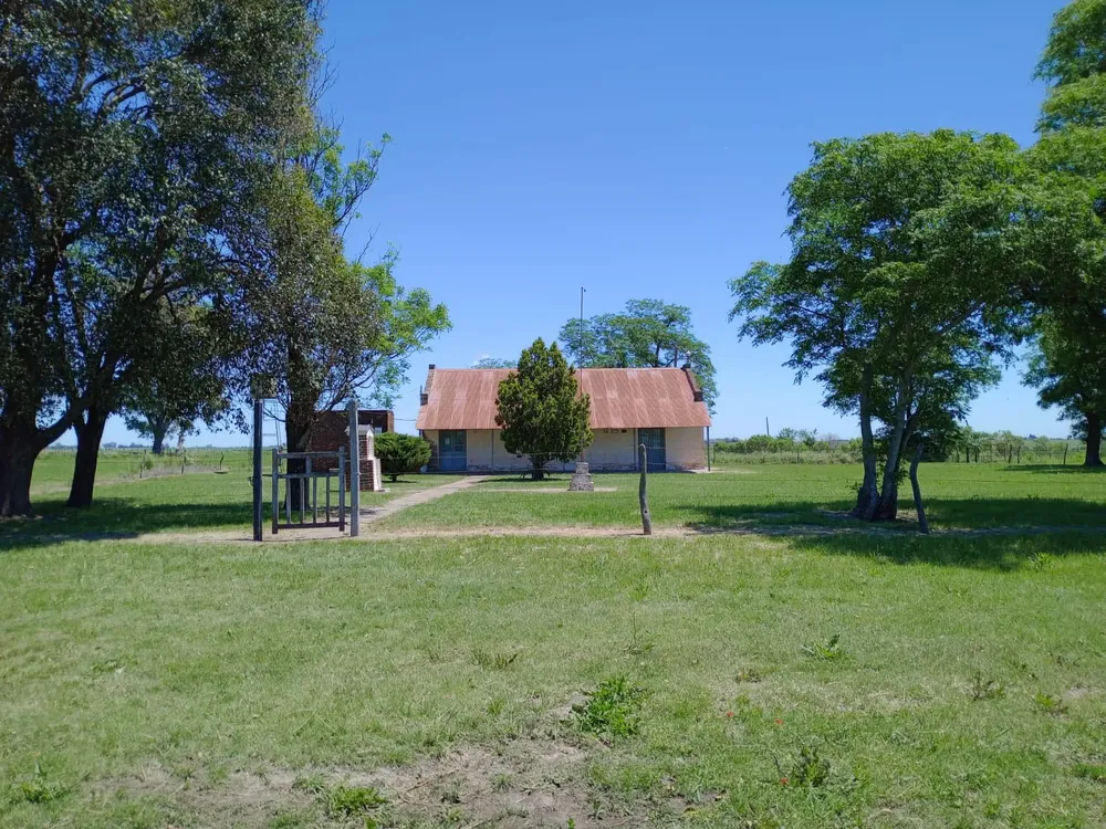 502897541_1105872961570035_3131778971661293554_n