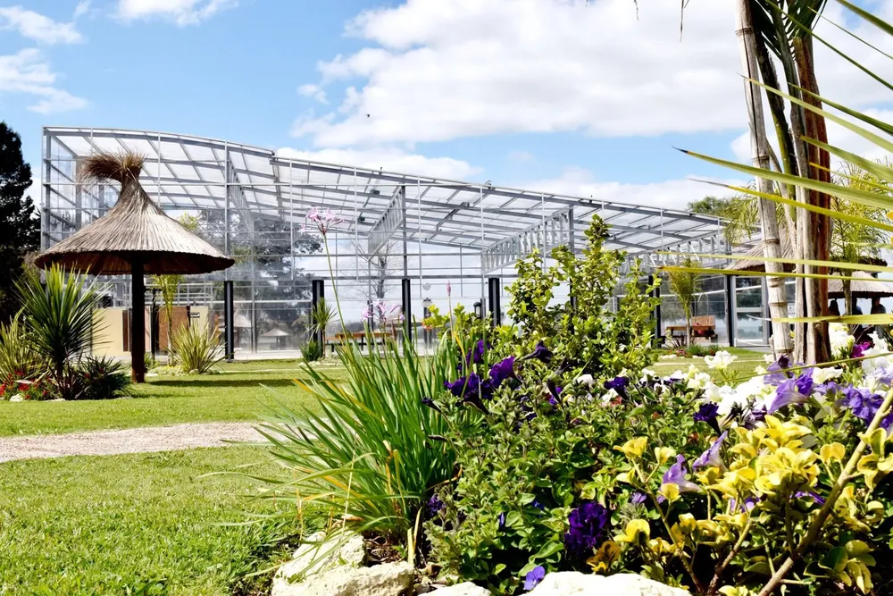 89153568_2589236641325422_7981217716180615168_n