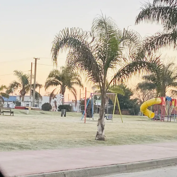 451050258_888002676678740_3556377824053684693_n