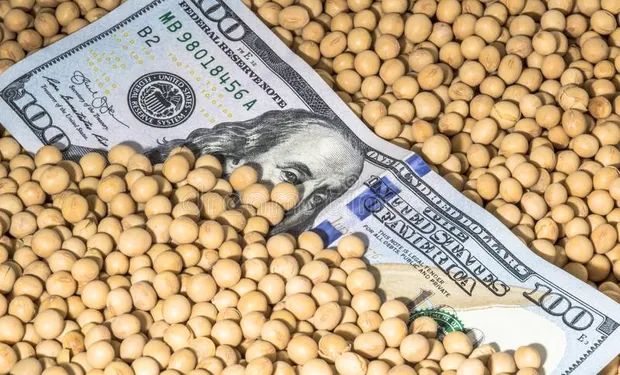 dolar-soja-2-200565