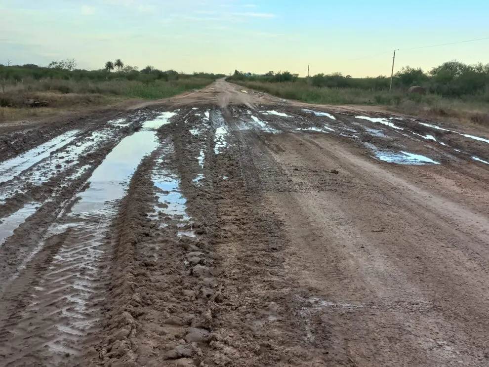 apfdigital_386992_tapa_162023_181134