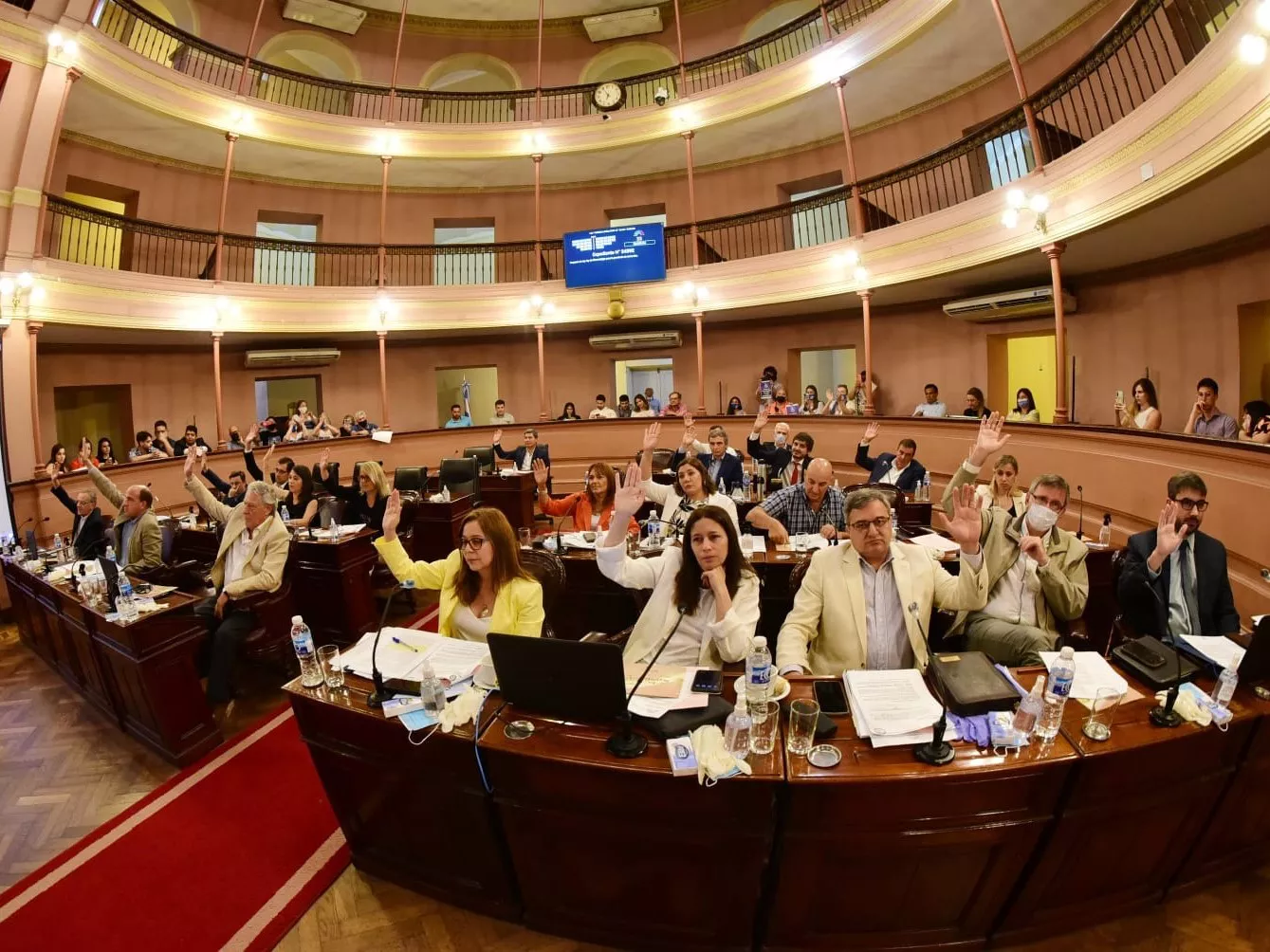 apfdigital_368570_tapa_132022_132411