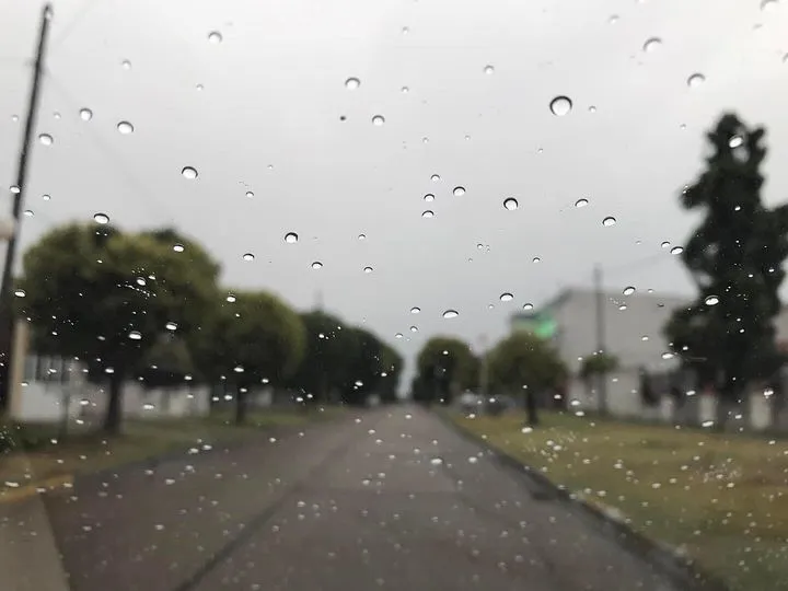 347827331_202196075543322_2230338567569859900_n