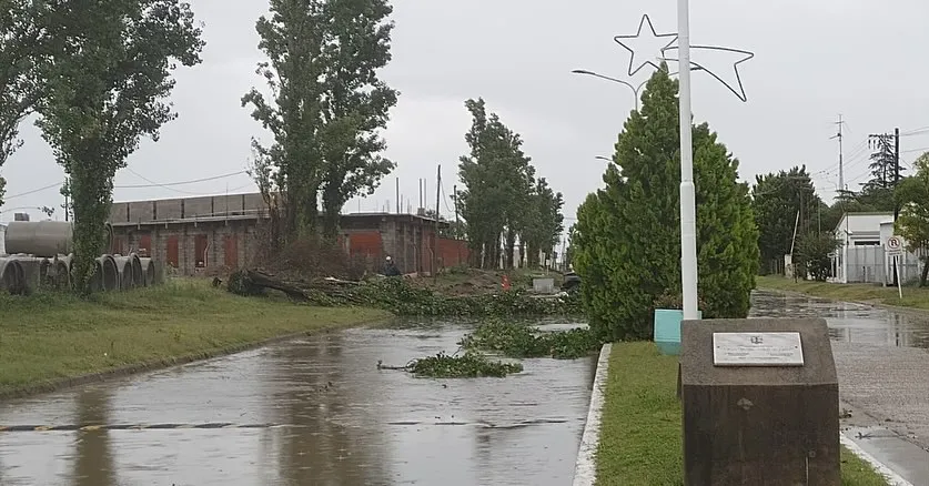 410284244_757251823087160_908871960489253039_n