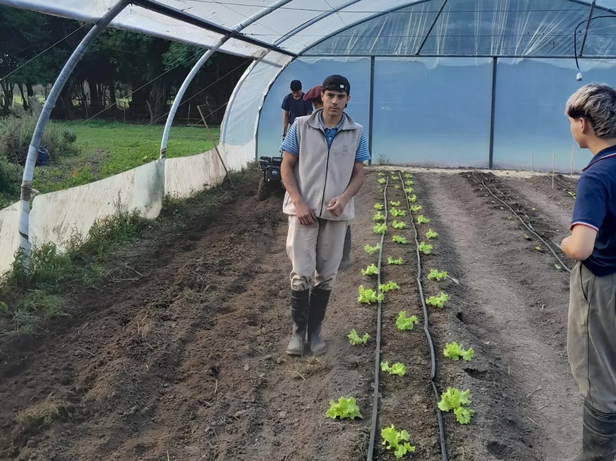 escuela las delicias