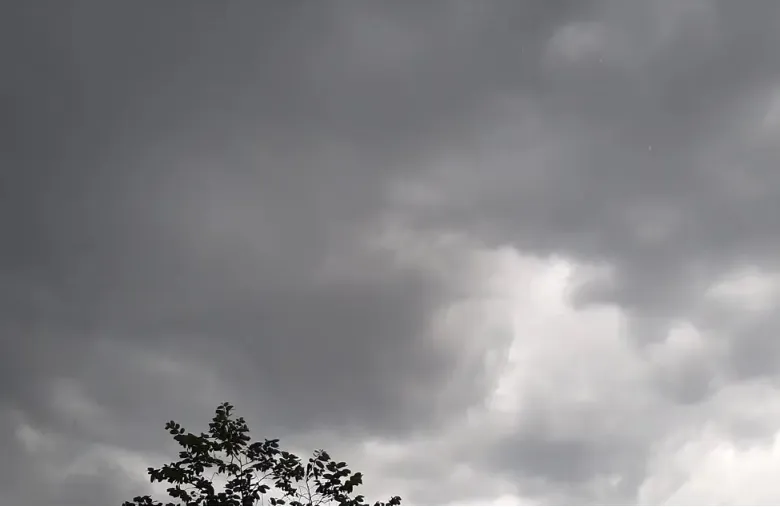 capture-20230518-084933