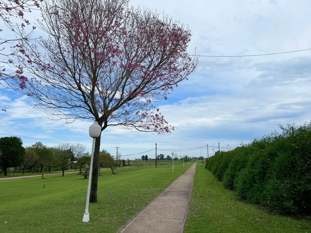 7ef017ad-55a4-42cc-b5f0-6345ae0bd778